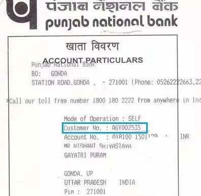 How To Know Dena Bank Customer Id Number