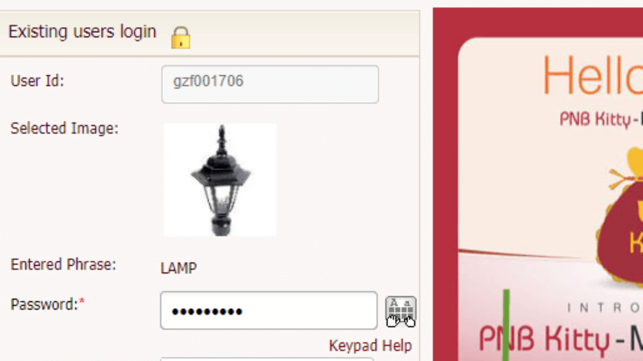 How To Reset Login And Transaction Password In Pnb