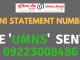 ubi mini statement number