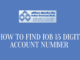 How To Find IOB 15 Digit Account Number