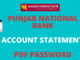 pnb statement pdf password
