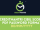 CreditMantri CIBIL Score PDF Password