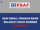 ESAF Small Finance Bank Balance Check Number