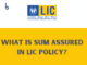 What is Sum Assured in LIC