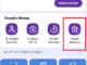 check balance in phonepe