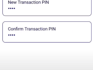 enter new transaction Pin in Vyom App